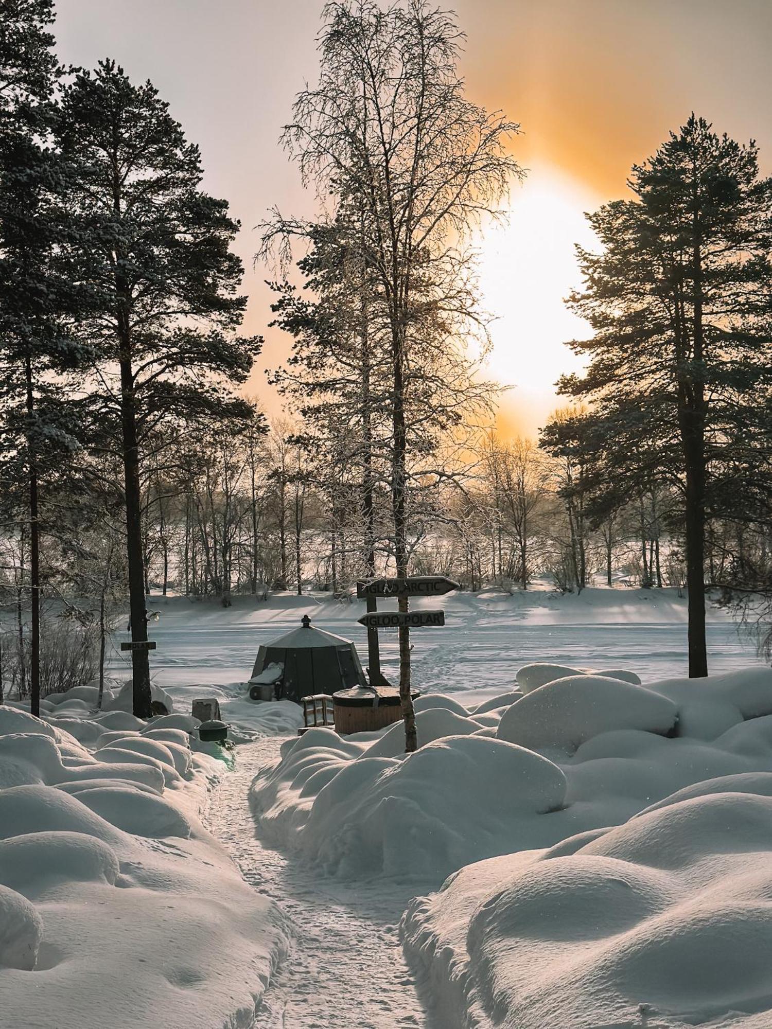 Aurora Igloo With Private Hot Tub By Invisible Forest Lodge Rovaniemi Exterior foto